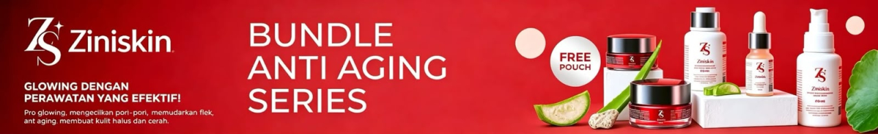 ziniskin banner
