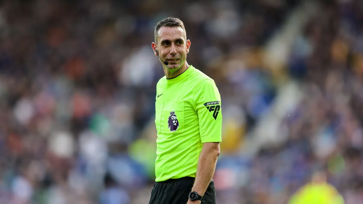 Wasit Liga Inggris David Coote Dipecat, Ada Apa?